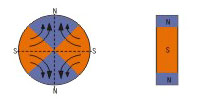 Multi-polar magnetization on outer circumference